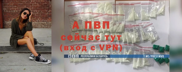 спиды Магас