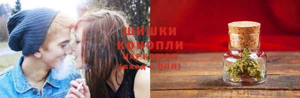 спиды Магас