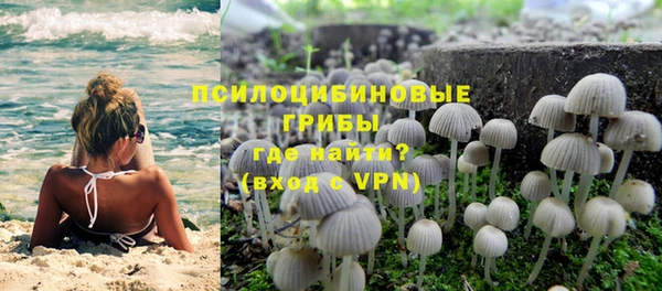 эйфоретик Лихославль
