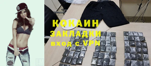 дмт Лиски