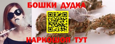 индика Аргун