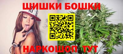 индика Аргун