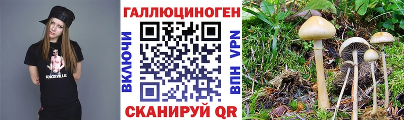 Галлюциногенные грибы мухоморы  купить наркоту  Ногинск 