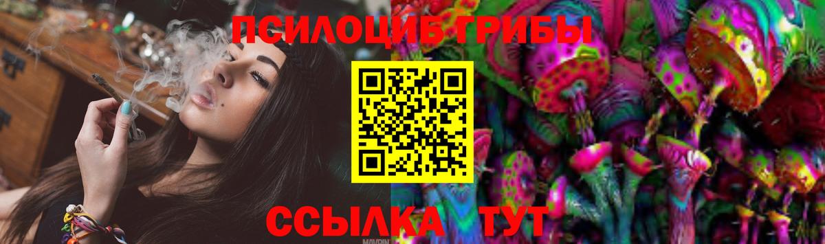 Псилоцибиновые грибы GOLDEN TEACHER  Ногинск 